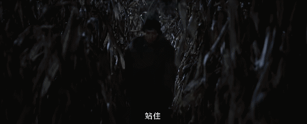央视力推的《护宝寻踪》爆是爆了，但网友却差评一片，理由也一致