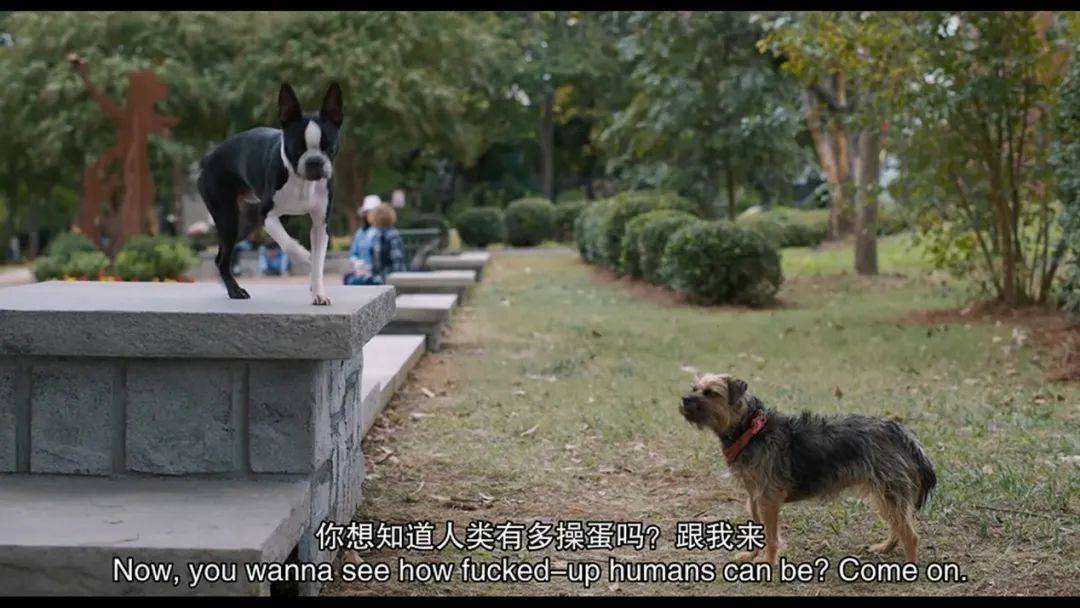 原创            很污很欢乐，这么纯粹的R级喜剧越来越少见了