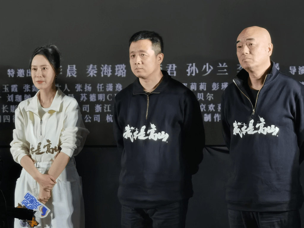 原创            海清《我本是高山》口碑翻车！四大槽点惹恼观众，恐牵连胡歌