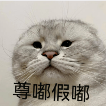太离谱了这俩！