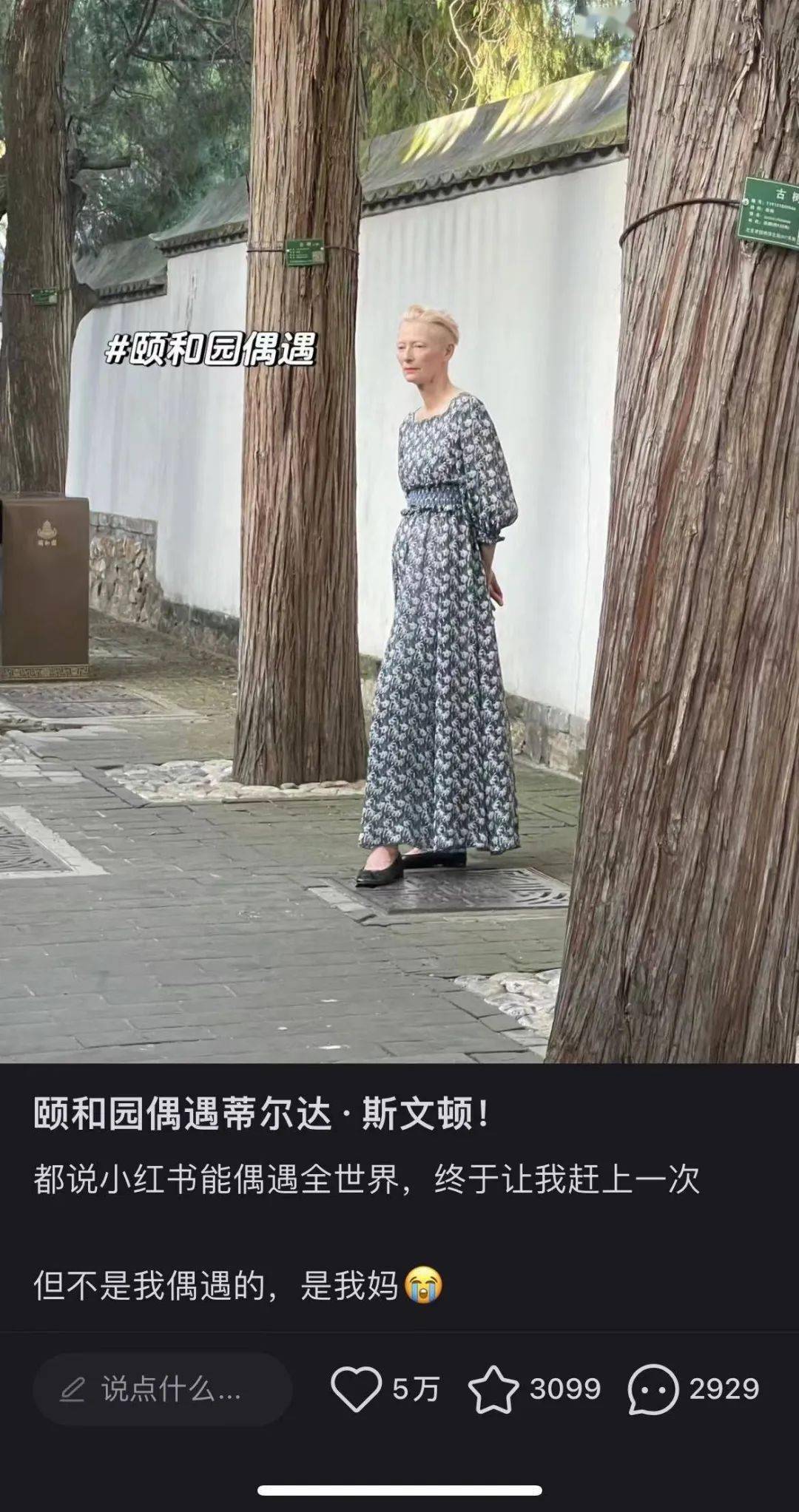 国片的未来，可能就在他们之中