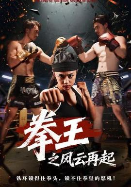 拳王之风云再起