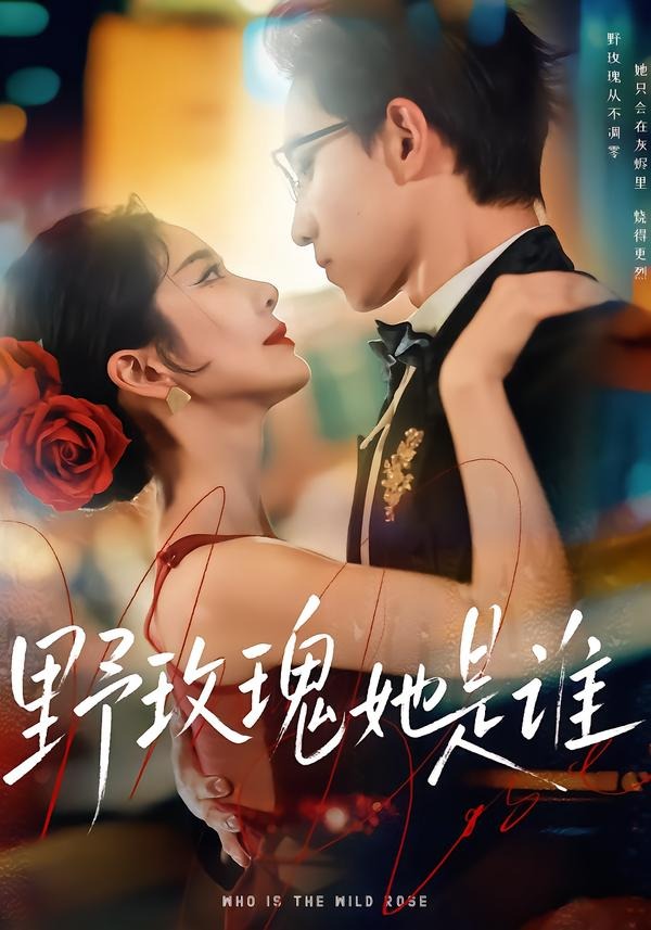野玫瑰她是谁