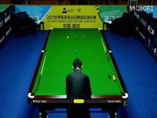2025斯诺克国际锦标赛32进16 马克·塞尔比6-3丹尼尔·威尔斯 20251104